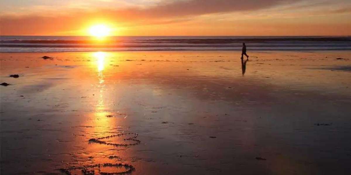 disposable medical stapler