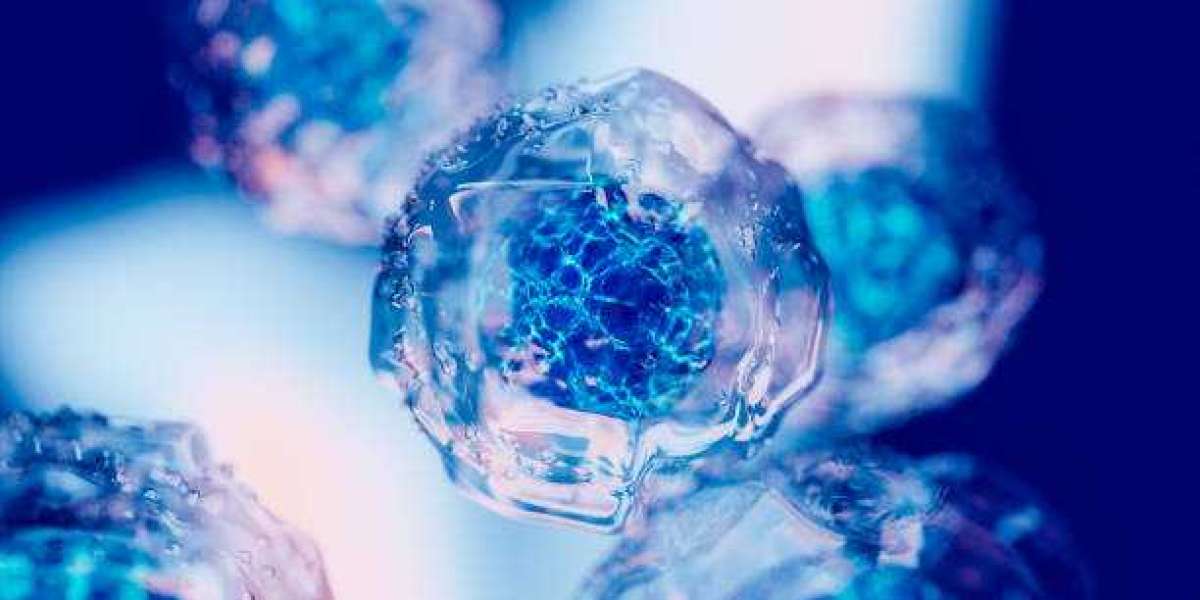 Induced Pluripotent Stem Cells Market Outlook, Geographical Segmentation, Industry Size & Share, Analysis to 2028