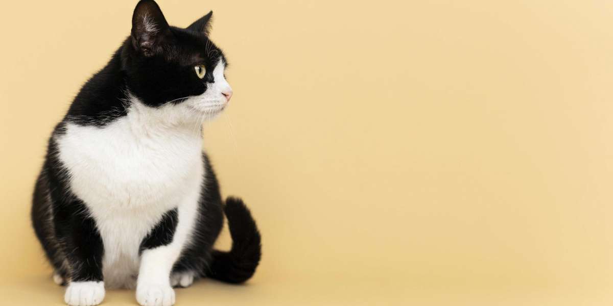 frontier airlines pet policy