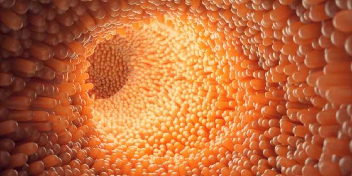 Digestive Enzymes Market analysis & Key Business Strategies by key players by 2028