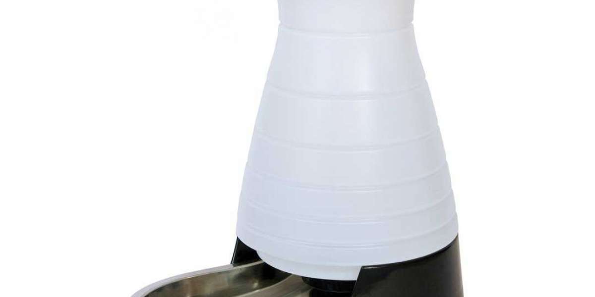 Pet Water Dispenser Market Size, Future Forecasts, Growth Rate, And Industry Analysis To 2032