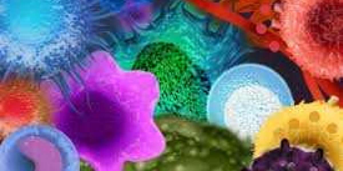 Oncology Based In-Vivo CRO Market Demand, Industry Trends, Business Opportunities, And Forecast 2028