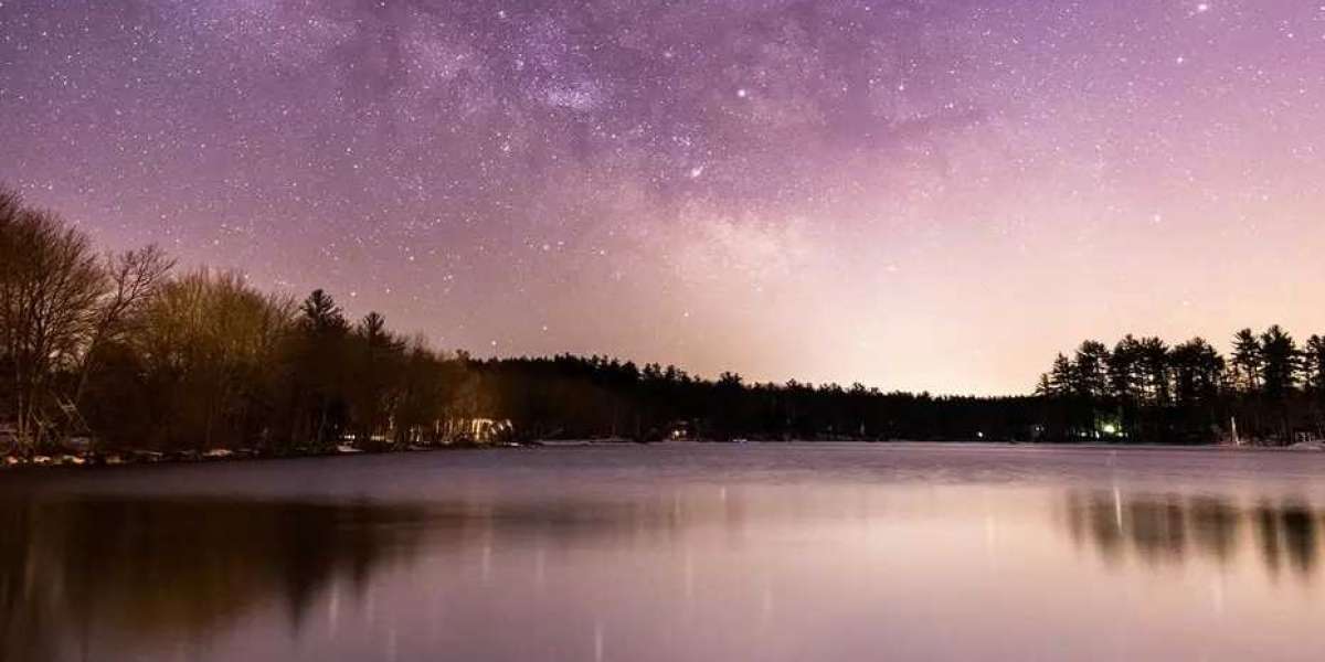 disposable medical stapler