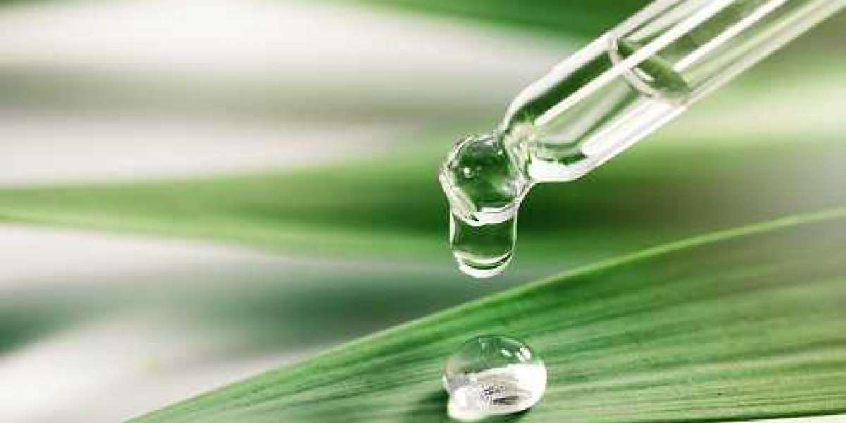 Natural fragrances Market Research | Value Chain and Key Trends 2030