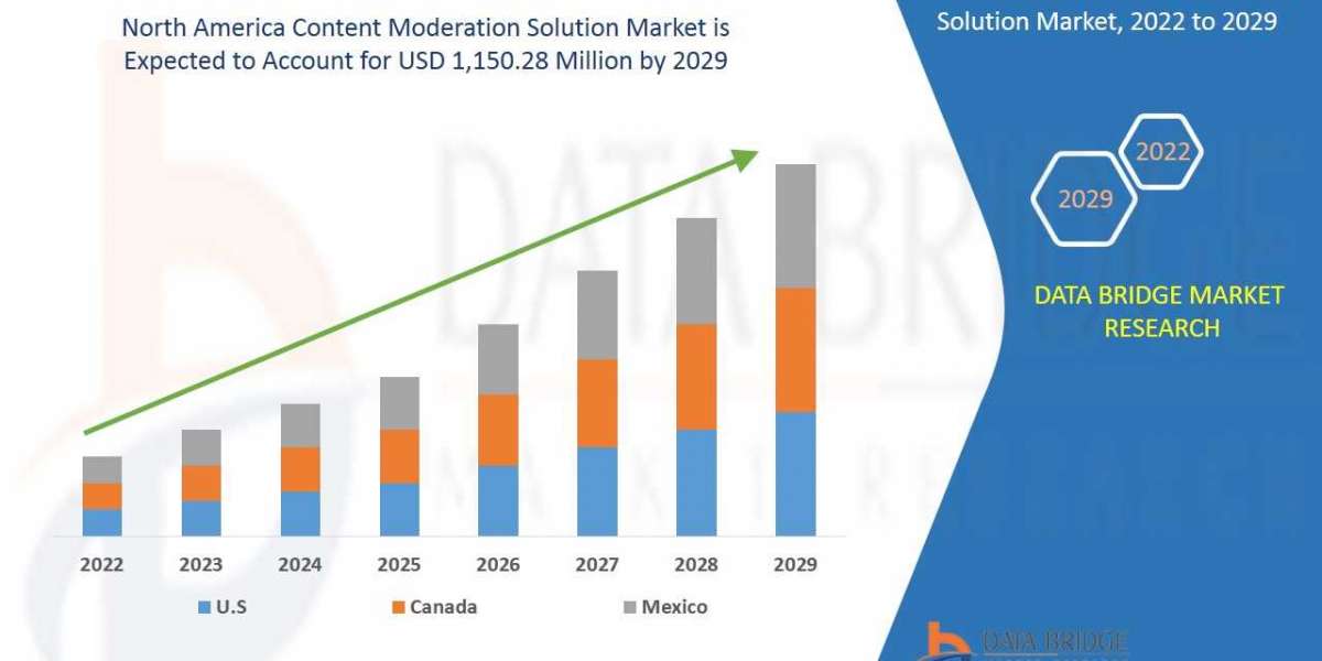 Content Moderation Solution Market Trends, Size, CAGR, and Growth Analysis by 2029