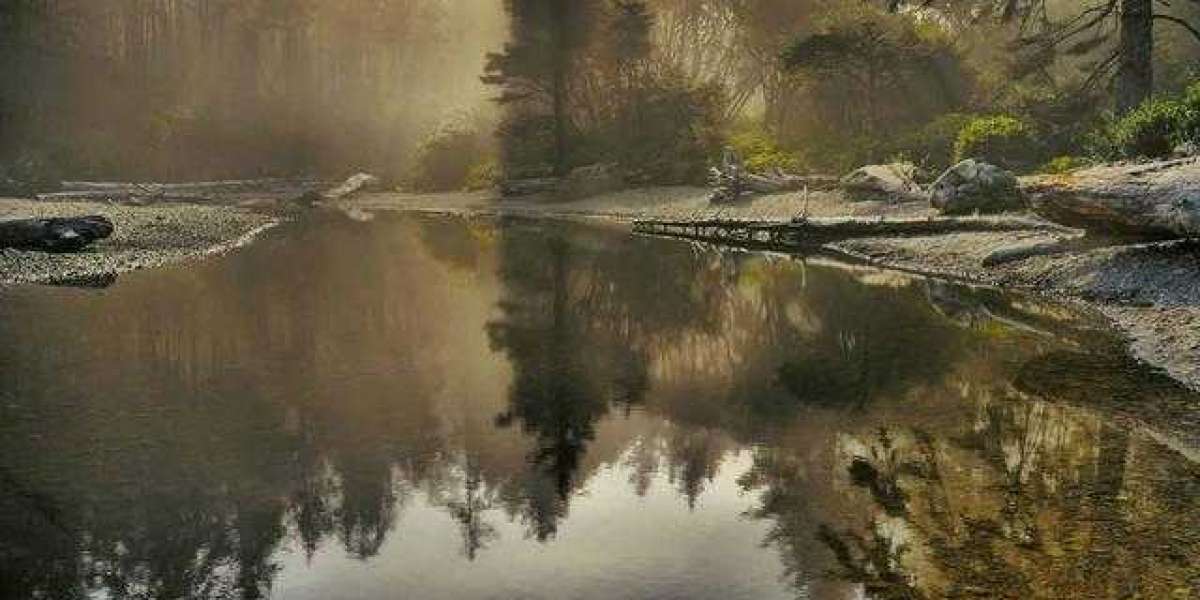 Nxt Gen Podcast? Breaking down early-period storylines