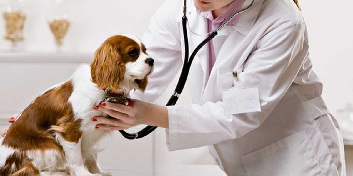 Animal Healthcare Market  Growth, Overview, Trends, Share, Analysis, Forecast to 2030