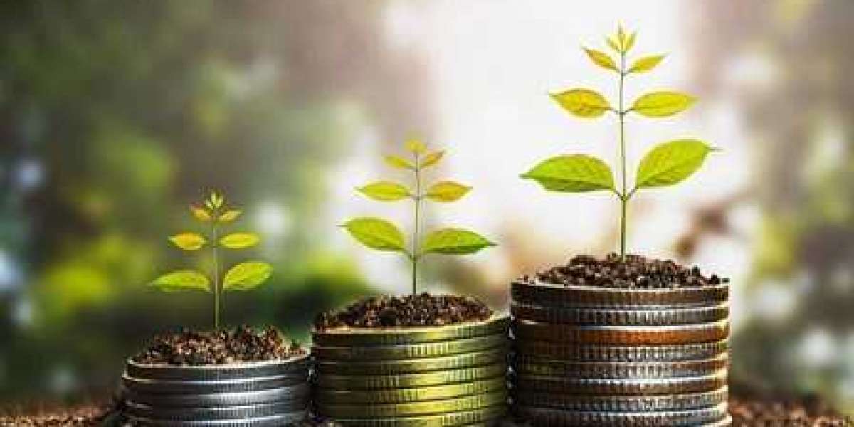 Global Online Microfinance Market Growth Strategy, Import-Export Analysis and Forecast 2022-2028