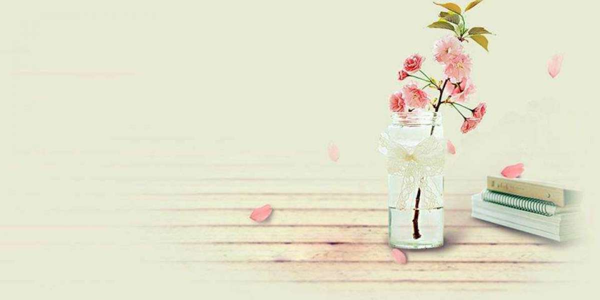 wholesale Small Dog Bed