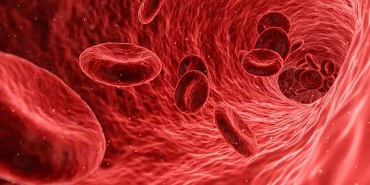 Immunotherapy Drugs Market Analysis, Growth, Overview, Trends, Demand and Industry Forecast 2028