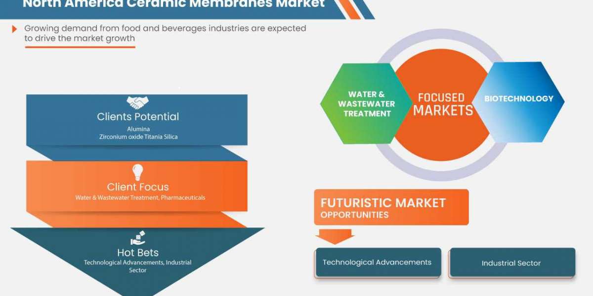North America Ceramic Membranes Market Drivers, Industry Threats, and Future Opportunities By 2029
