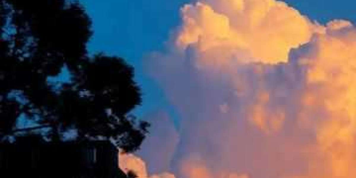 An Open up Thread for July 4, 2022