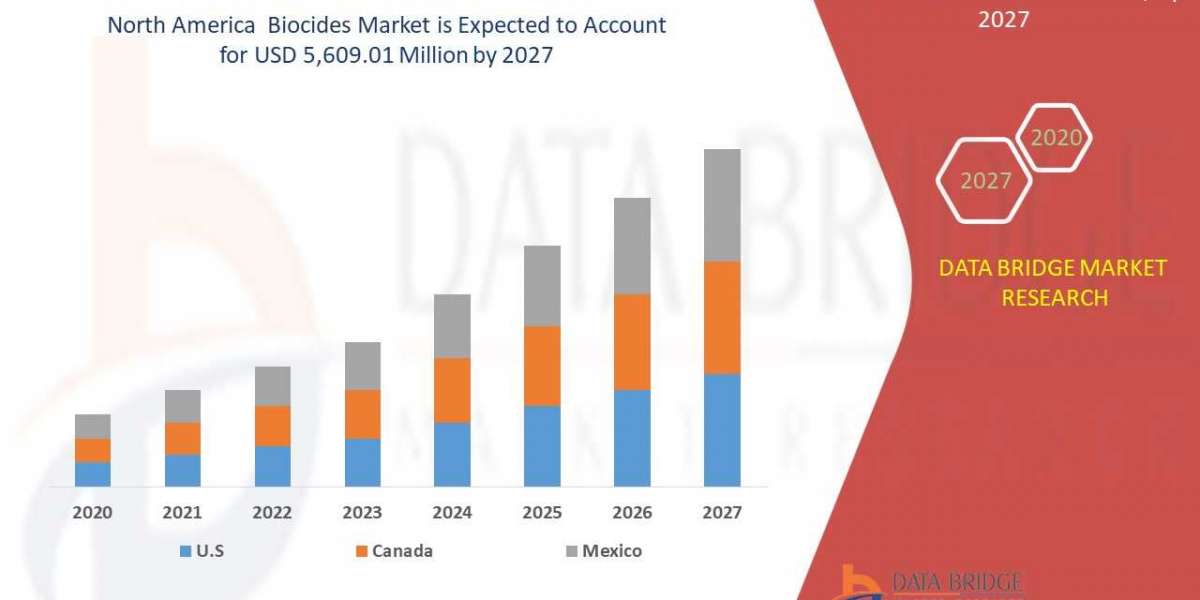 North America Biocides Market Size, Developments and Future Forecasts to 2027