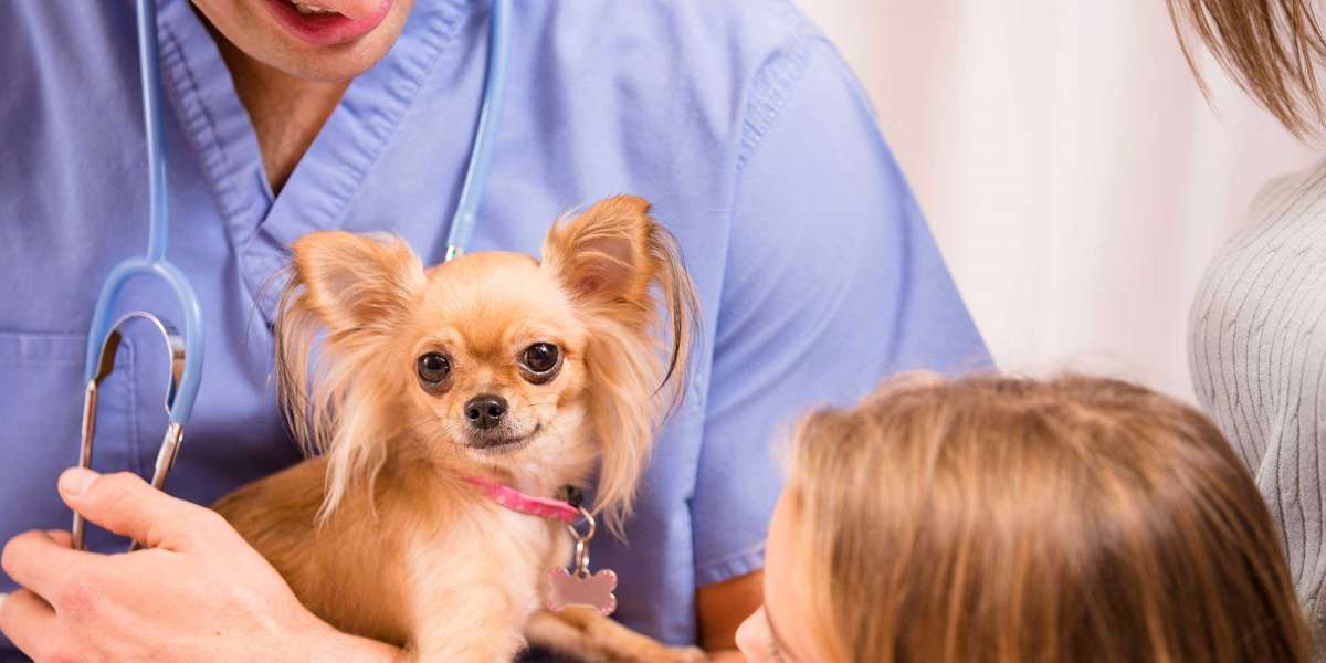 Veterinary Pain Management Market Insights, Trends, And Forecasts 2019-2028