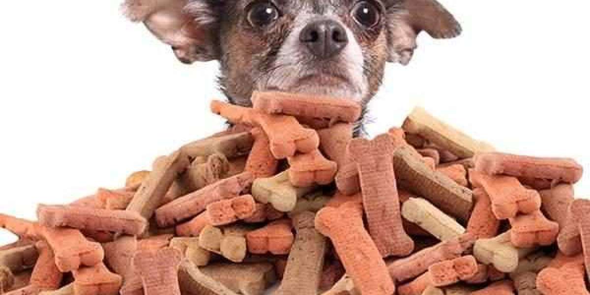 Pet Treats and Chews Market Competitive Landscape & Technological Breakthroughs Analysis in Next Few Years