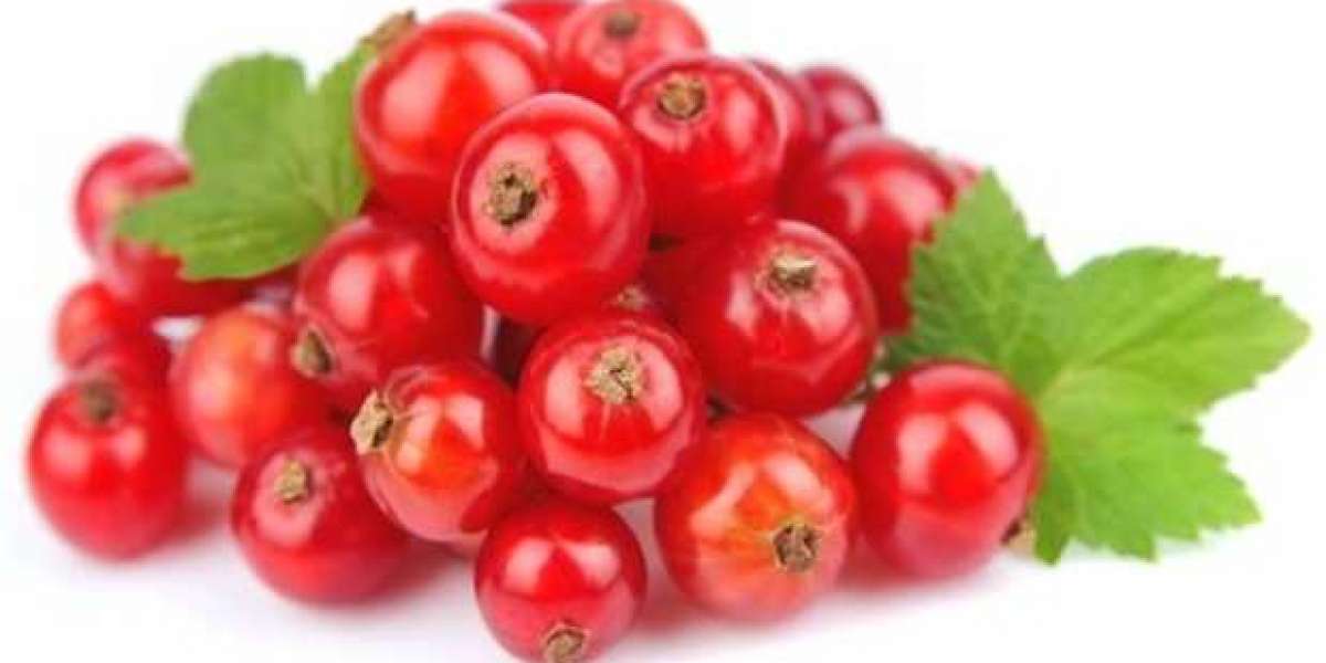 Global Arbutin Market 2022: Industry Emerging Trend, Driving Factors, Outlook and Future Scope Analysis 2028