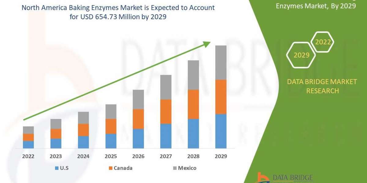North America Baking Enzymes Market Size, Share & Industry Trends