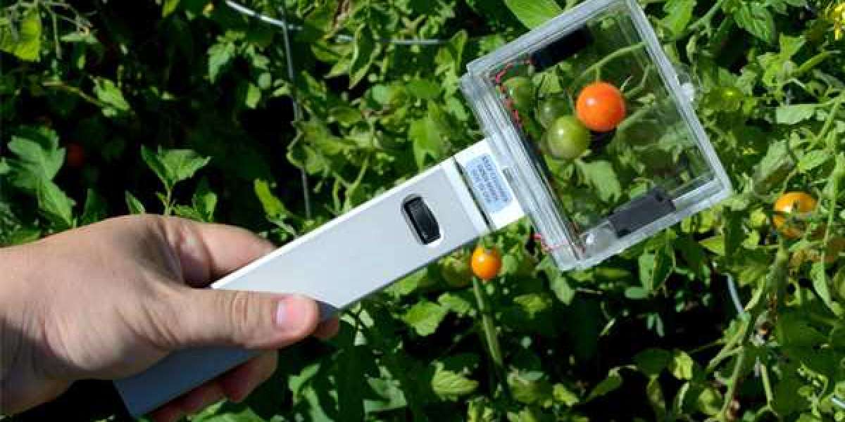 Post-Harvest Quality Control Software Market Strategy, Revenue, Opportunity, Business and Key Trends 2028