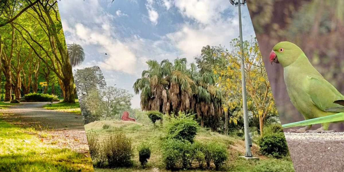 Indiamap - Find places to visit in India, States and cities