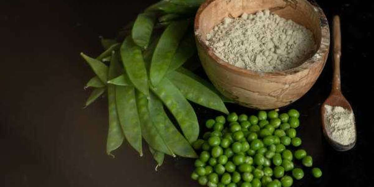 Pea Protein Market Trends, Revenue, Region & Country Share, Trends, Growth Analysis Till 2030