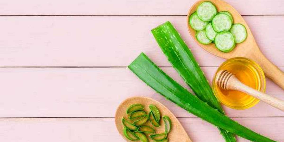 Aloe Vera Products Market Share, Revenue, SWOT, PEST Analysis, Growth Factors to 2030