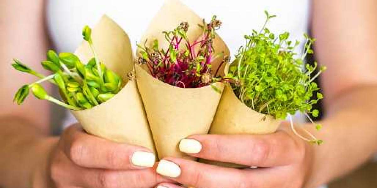 Microgreens Market Revenue: Gross Ratio, Demand, Driven Factors, Regional Outlook, and Forecast