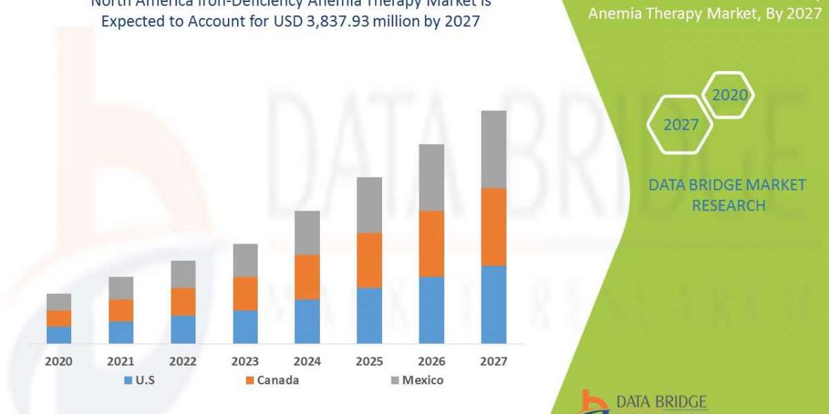 Iron-deficiency anemia therapy market 2020 Insight on Share, Application, And Forecast Assumption 2027