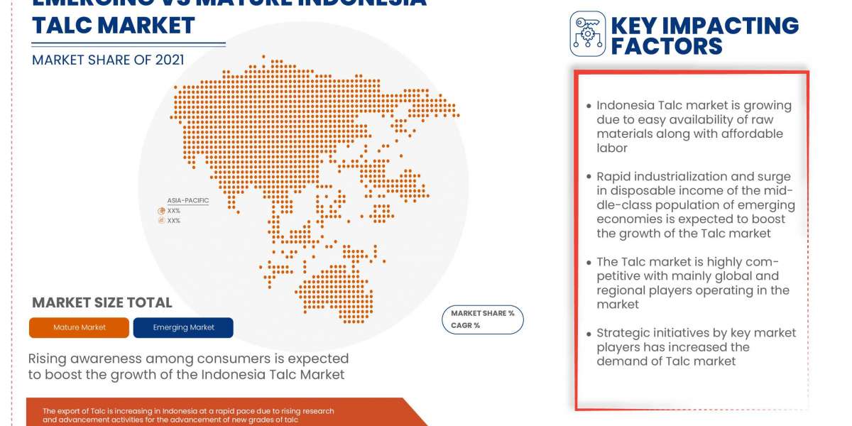 Indonesia Talc Market Current and Future Growth