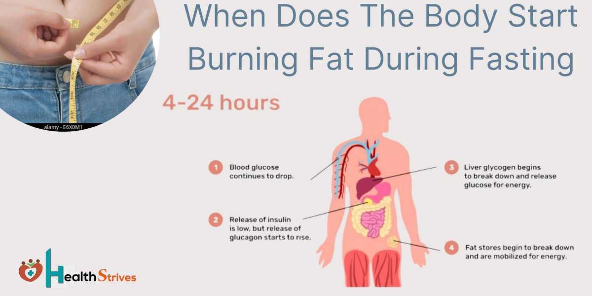 When Does The Body Start Burning Fat During Fasting