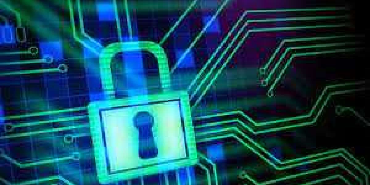 Key Players In Encryption Software Market, Segmentation, Size, Shares, And Revenue Analysis