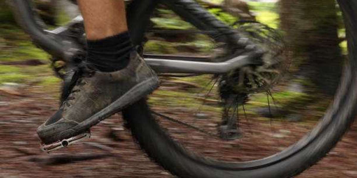 Mountain Bike Footwear and Socks Market Trends, Revenue, Growth, Restraints, Company Profiles, Analysis & Forecast T