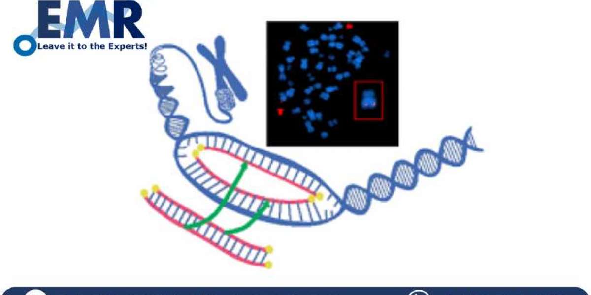Global FISH Probe Market To Be Driven By The Increasing Demand For The Diagnosis Of Various Chronic Diseases In The Fore