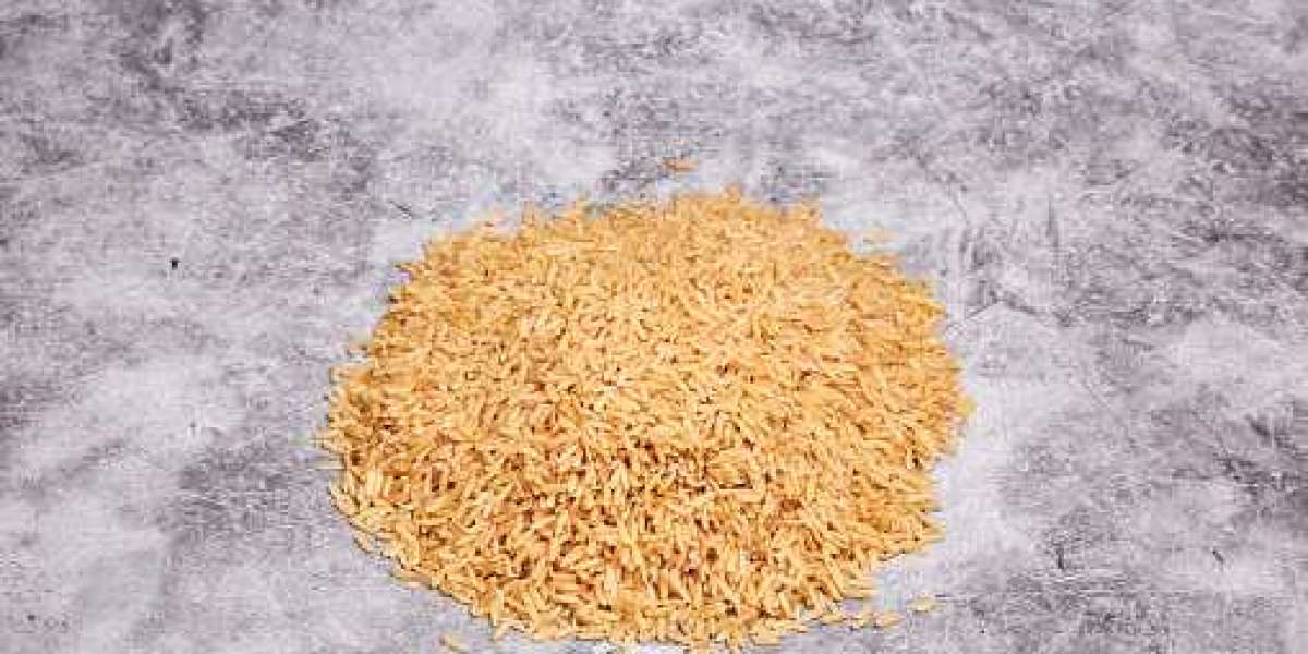 Biological Seed Treatment Market by Top Competitor, Regional Shares, and Forecast 2030