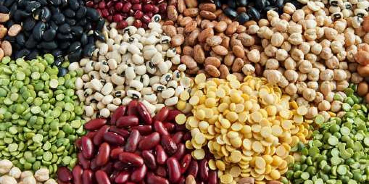 Fruits and Vegetable Seeds Market Trends Report: Industry Analysis, Size, and Forecasts 2030