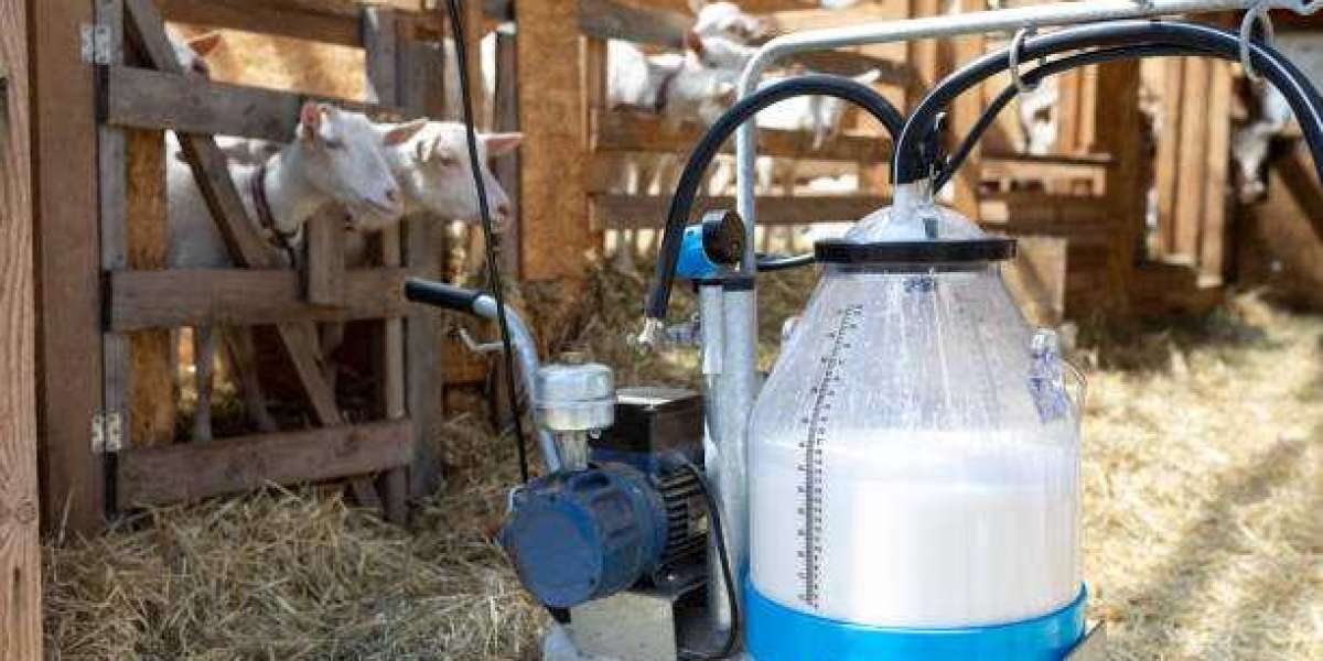 Automated Feeding Systems Market Trends, Size, Regional Trends and Opportunities, Revenue Analysis, For 2030