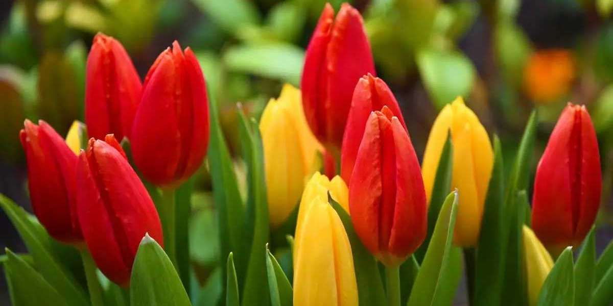 Chemical Product Label factory