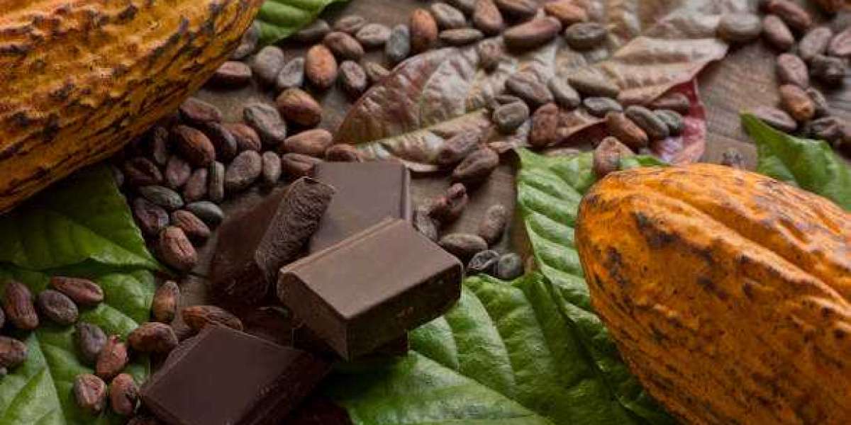 Organic Chocolate Market Share, Revenue Size, Trends and Factors, Regional Analysis & Forecast Till 2030