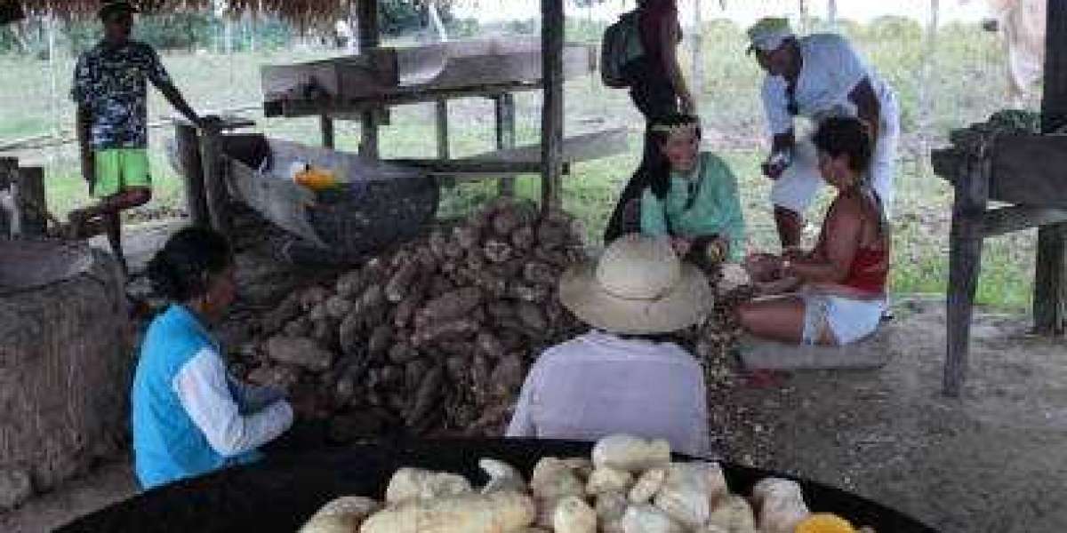 Native Starches Market Outlook of Top Companies, Regional Share, and Province Forecast 2028