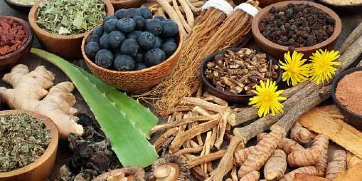 Medicinal Plant Extracts Market Report Detailed Summary, Present Industry Size and Future Growth Prospects to 2030