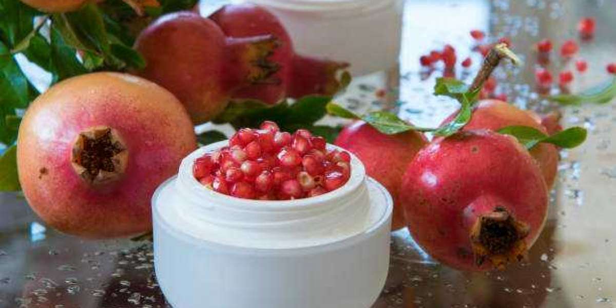 Bioactive Ingredients Market Outlook: Analysis Size, Share, Top Players, Application, and Opportunities Forecast to 2030