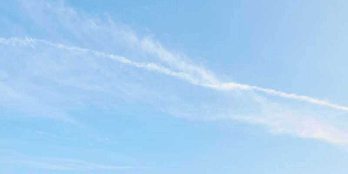 Baseball The us names Seattle Mariners as Business of the 12 months