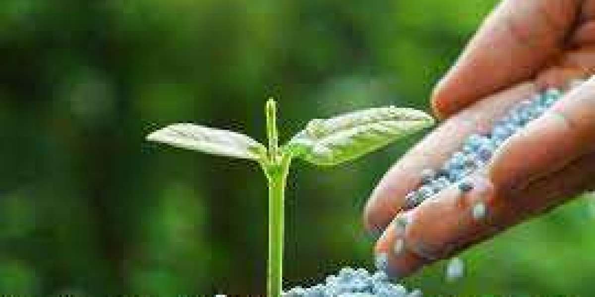 Fertilizers Market Development Status, Opportunities, And Growth By Forecast 2028