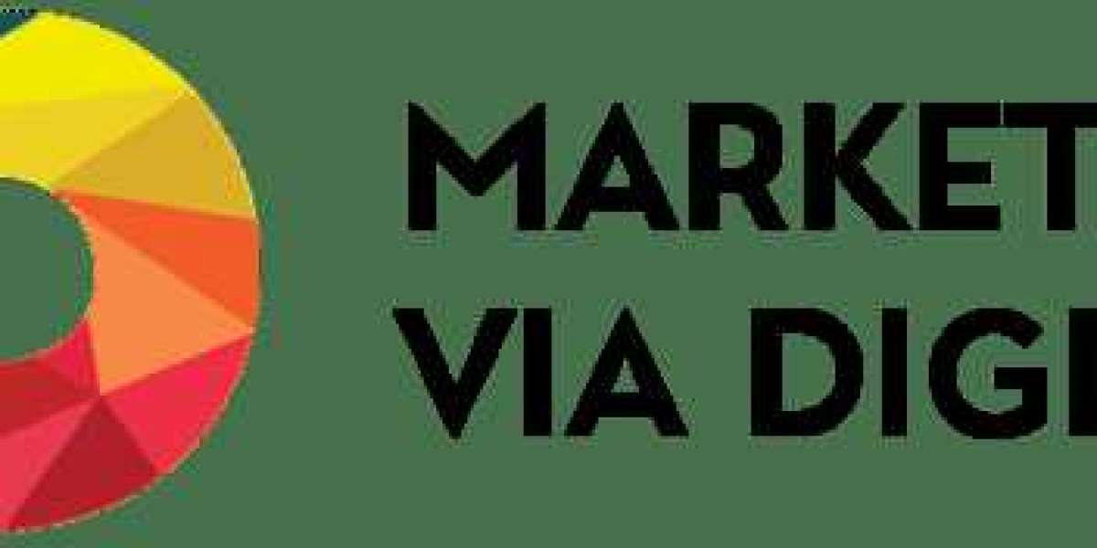 Search Engine Optimization Institute Delhi