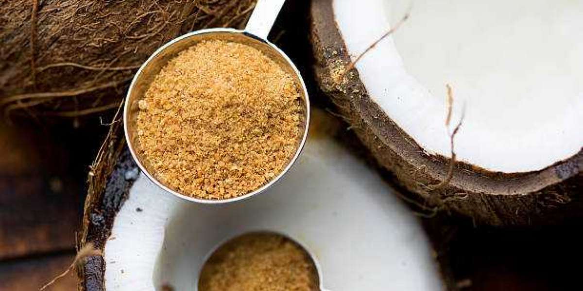 Organic Palm Sugar Market Insight | Latest Technology and Trend, Future Development, Forecast Year 2028