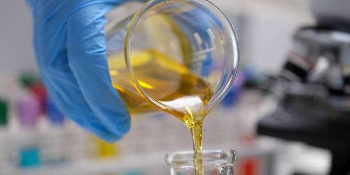 Specialty Oils Market Insights Share, Key Market Players, Trends & Forecast 2028