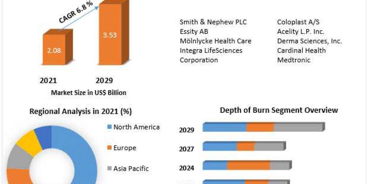 Burn Care Market Market Business Strategies, Revenue and Growth Rate Upto 2029
