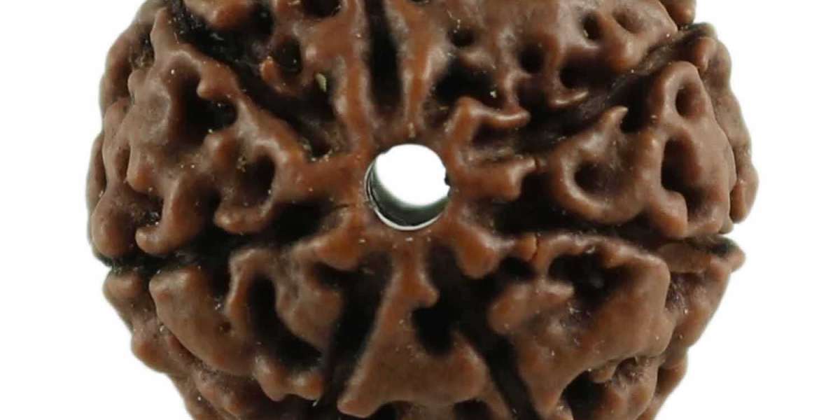 Buy 7 Mukhi Rudraksha From RashiRatanBhagya