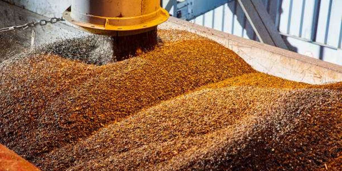 Seed Coating Materials Market Insights, Revenue, Product Launches, Regional Share Analysis & Forecast Till 2030