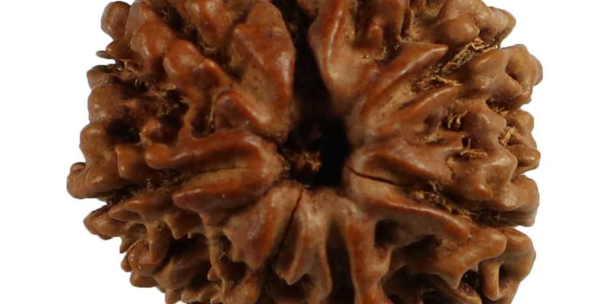 Get  Original 8 Mukhi Rudraksha Online From Rashi Ratan Bhagya