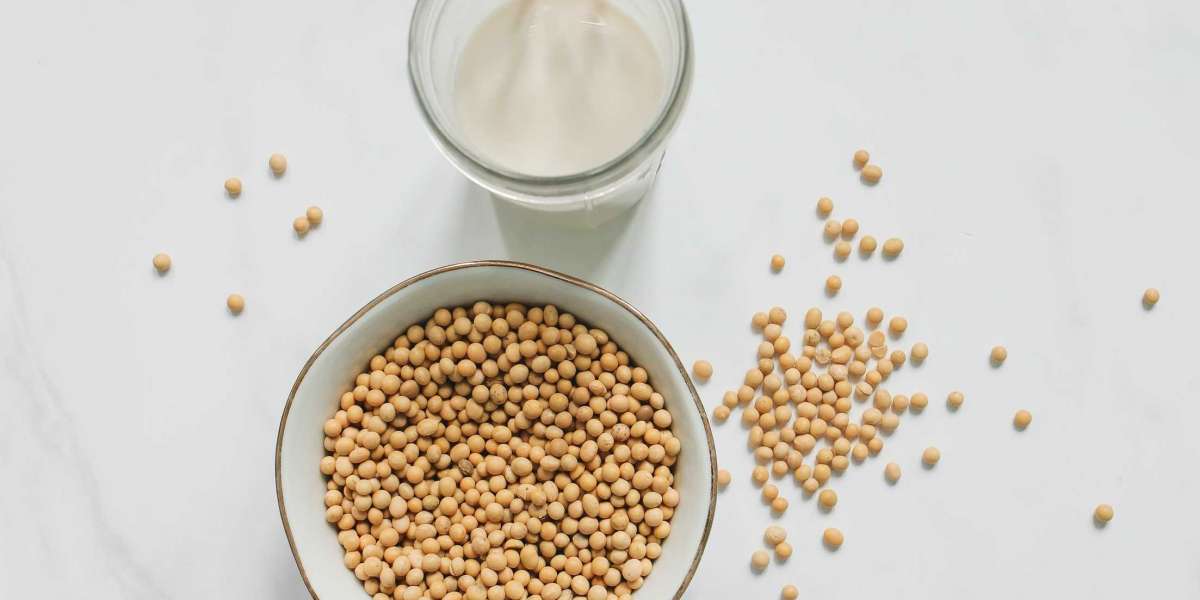 Soy Milk Market Overview, Revenue Growth, New Launches, Regional Share Analysis & Forecast Till 2030
